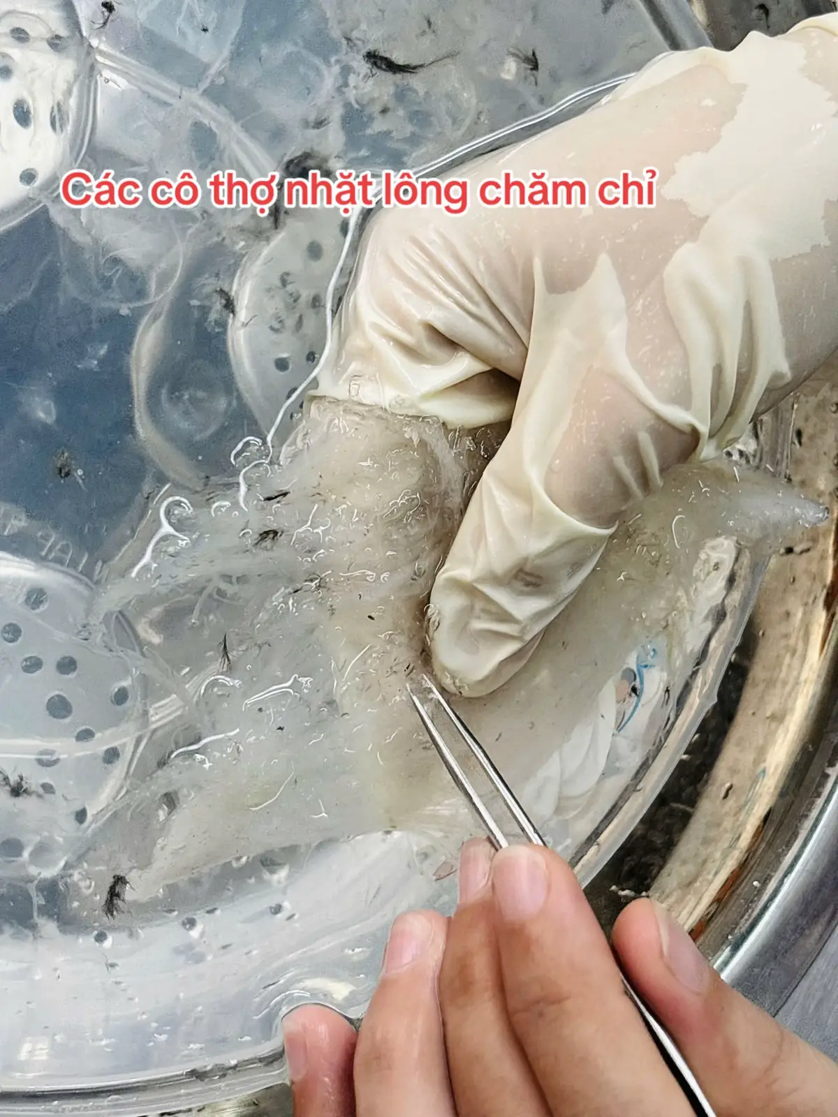 @Yến sào Đỗ Thị Toán