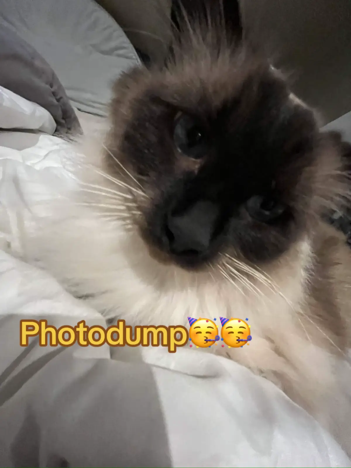 @ꜰᴀʏᴇ 🕯️ ♬·¯·♩¸¸♪