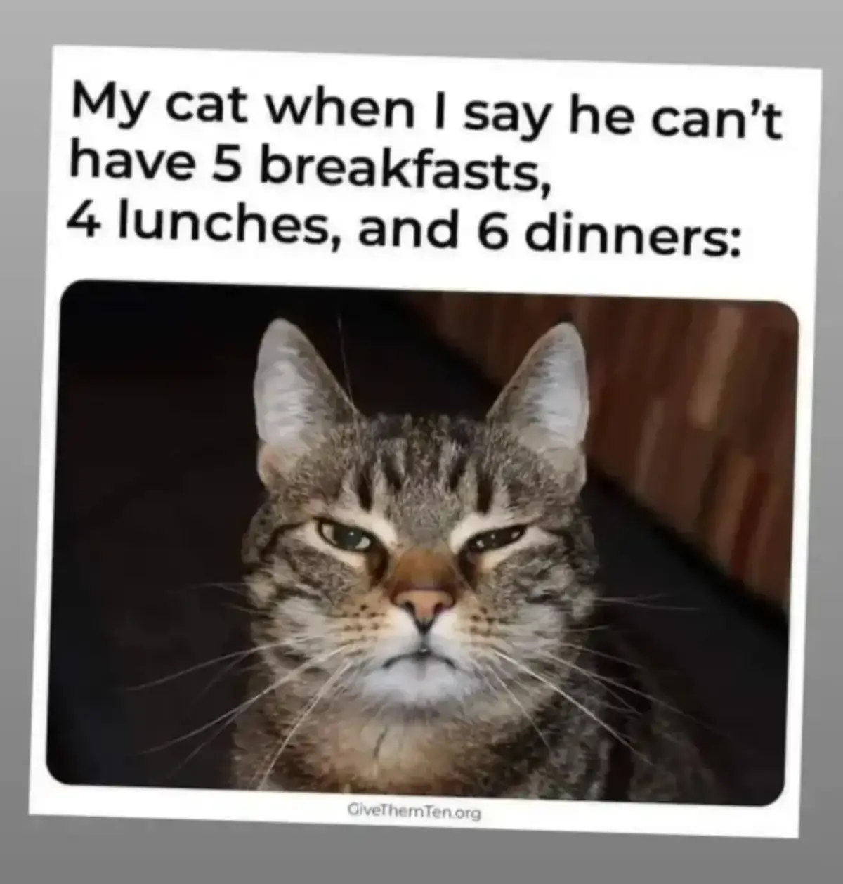 @traceyleedsfanatic🤎