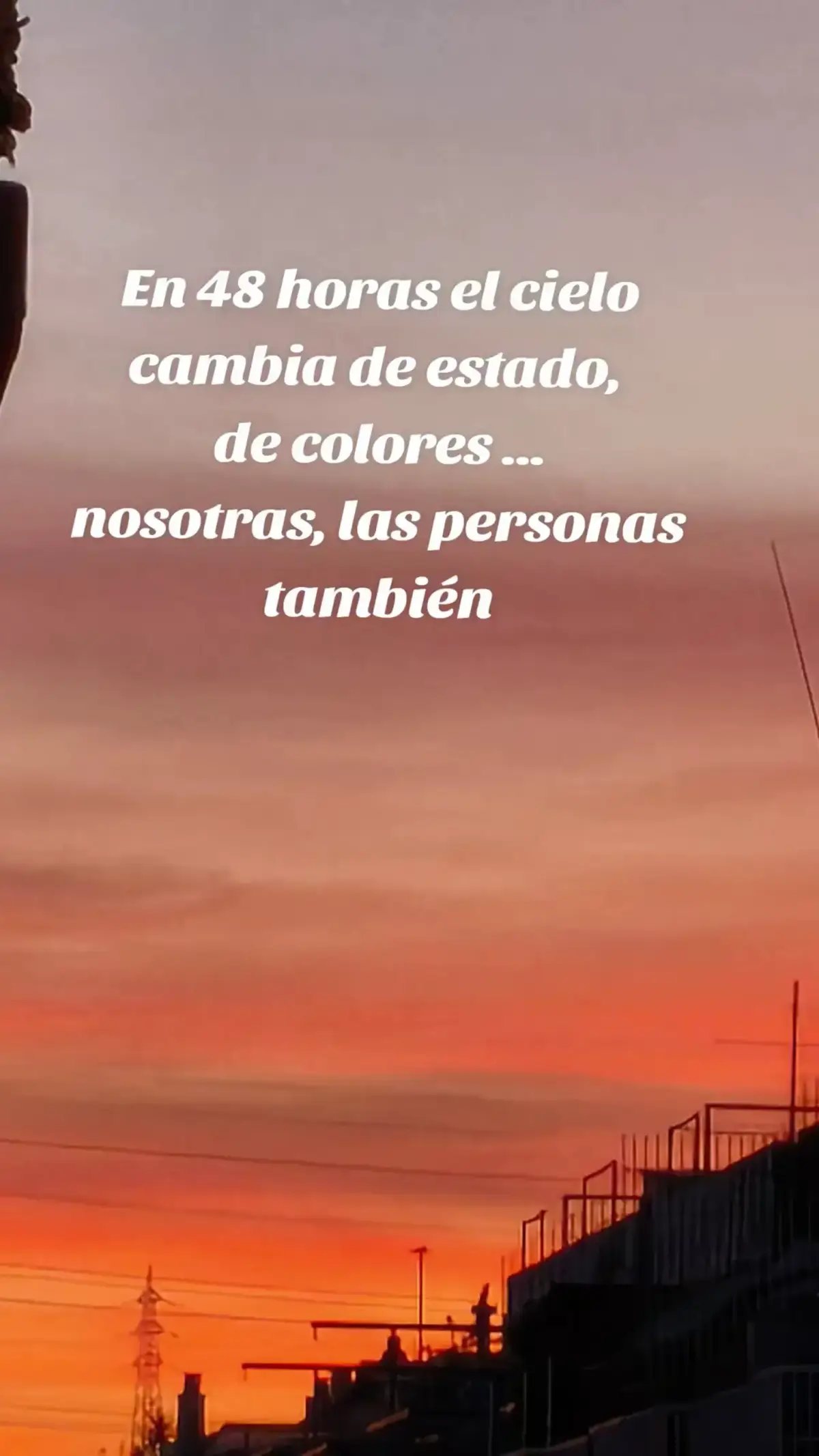 @Noe Coach