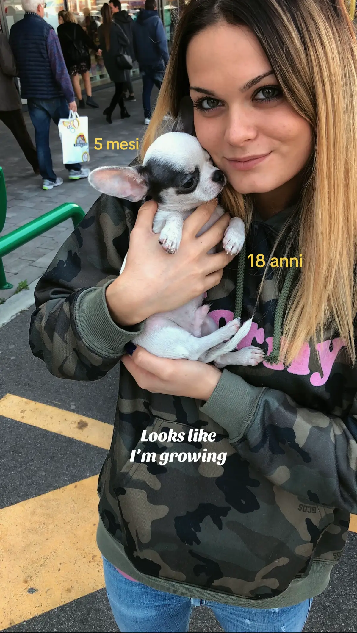 @Nicole Cereseto