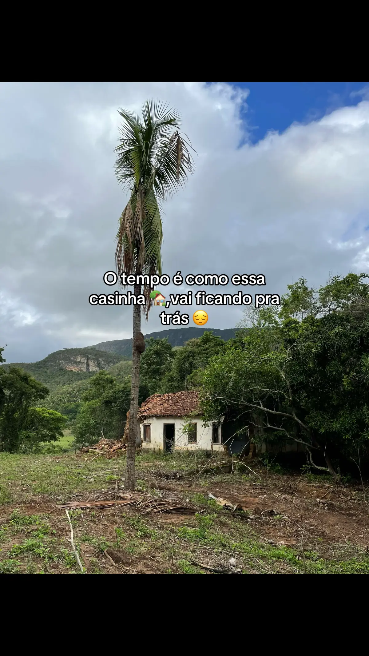 @Jailton dos Anjos 🤠