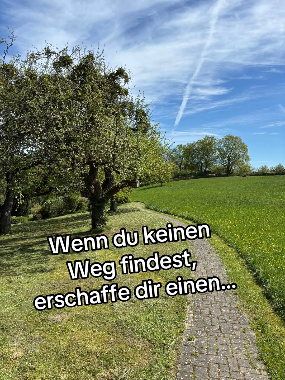 @Stephan