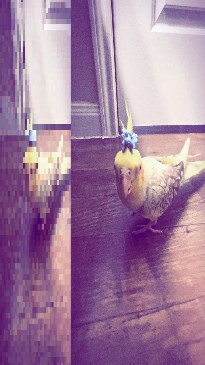 @⋆. 𐙚˚࿔ 🤍🎼🎶🎧𝜗𝜚˚⋆