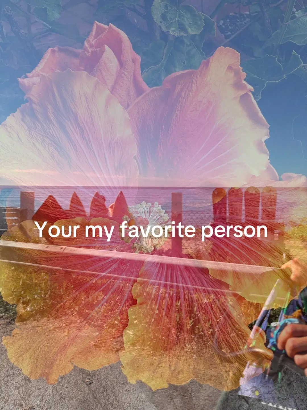 @user8288493929837