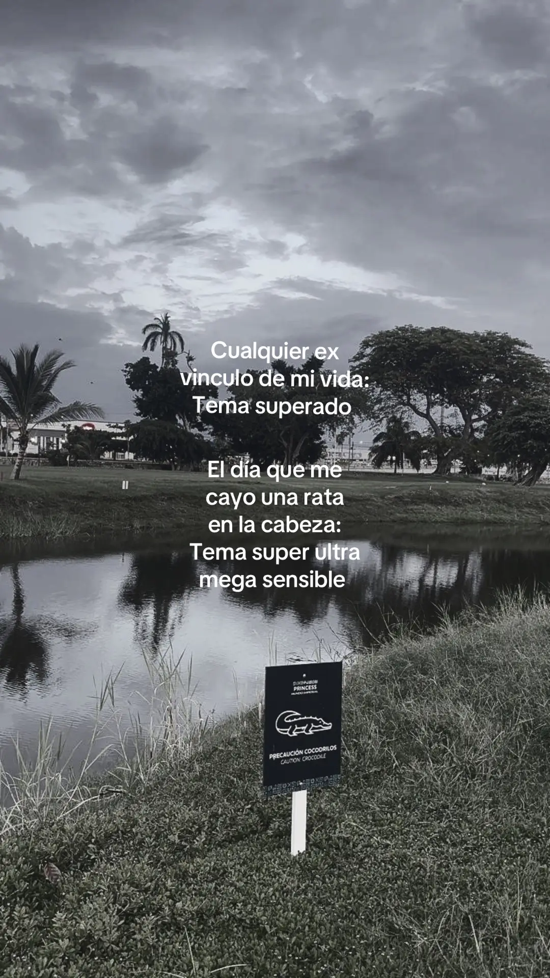 @adristreets