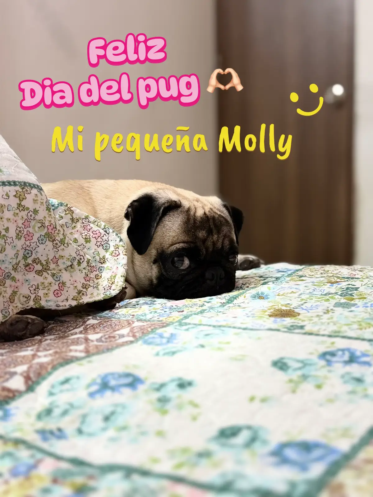 @Alexita Rojas