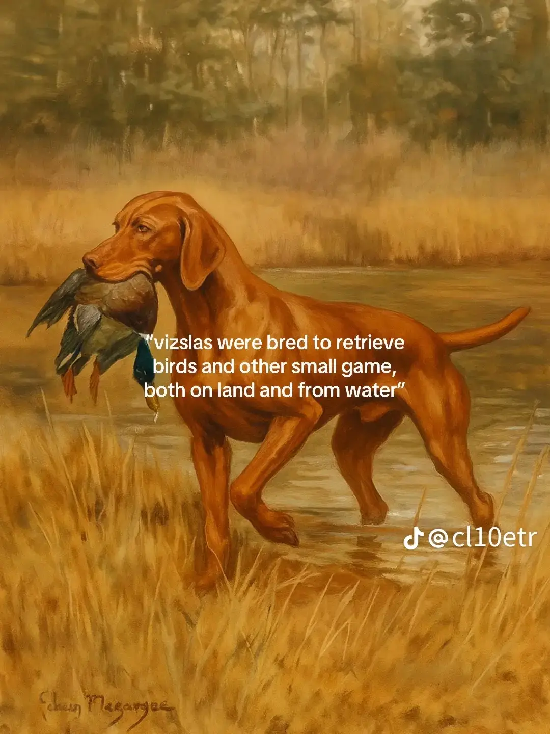@Acadia Biever