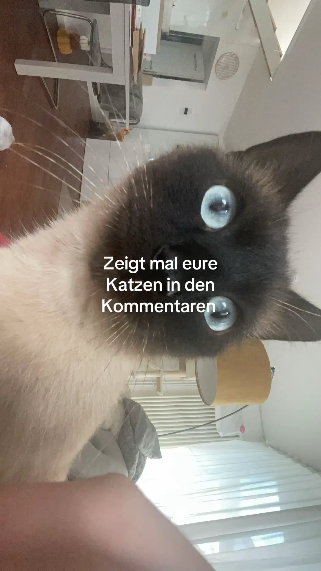@der_deutsche_aus_47