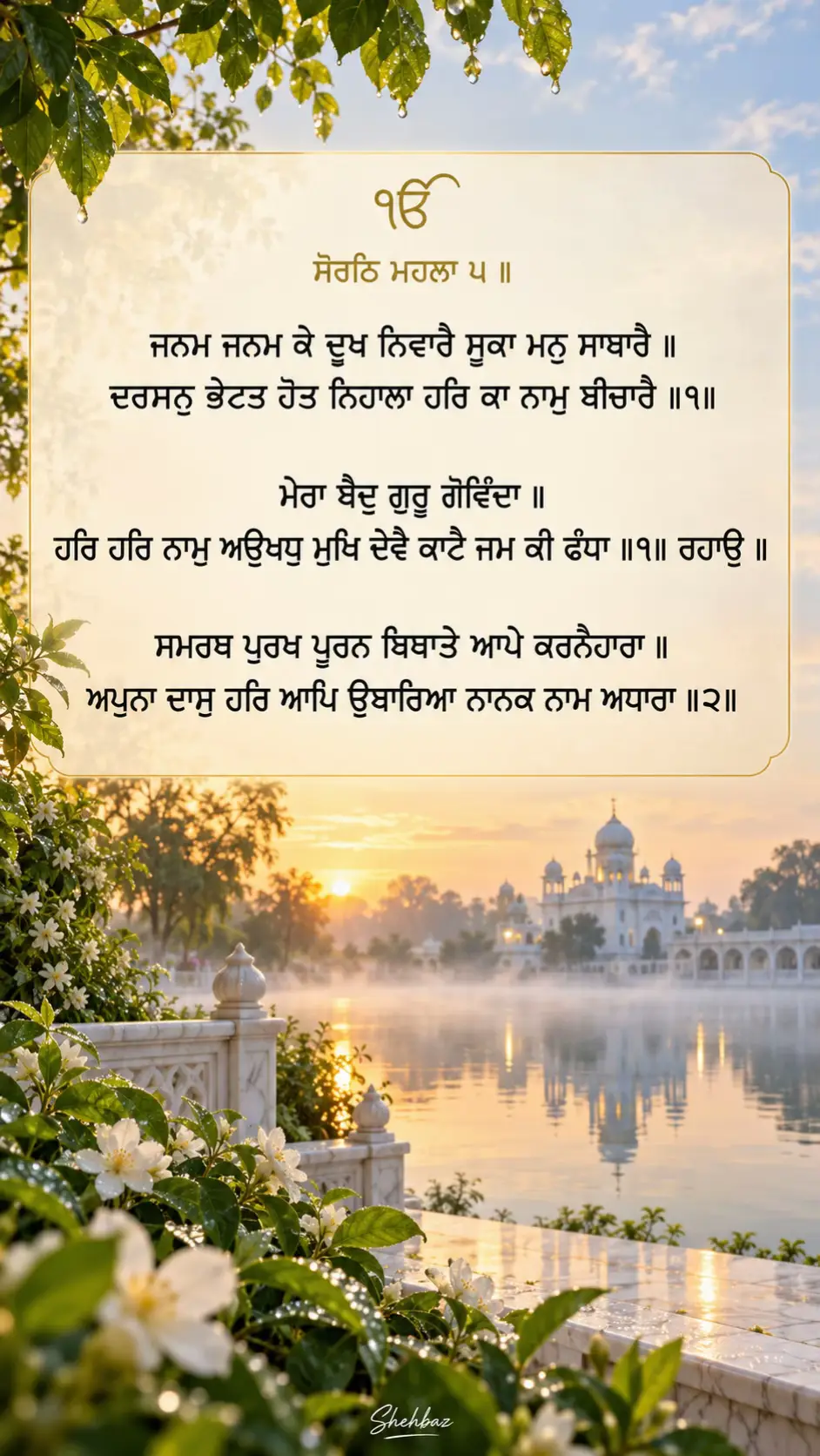 @Shehbaz🦅
