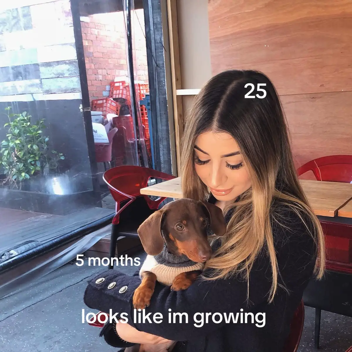 @adelemareee
