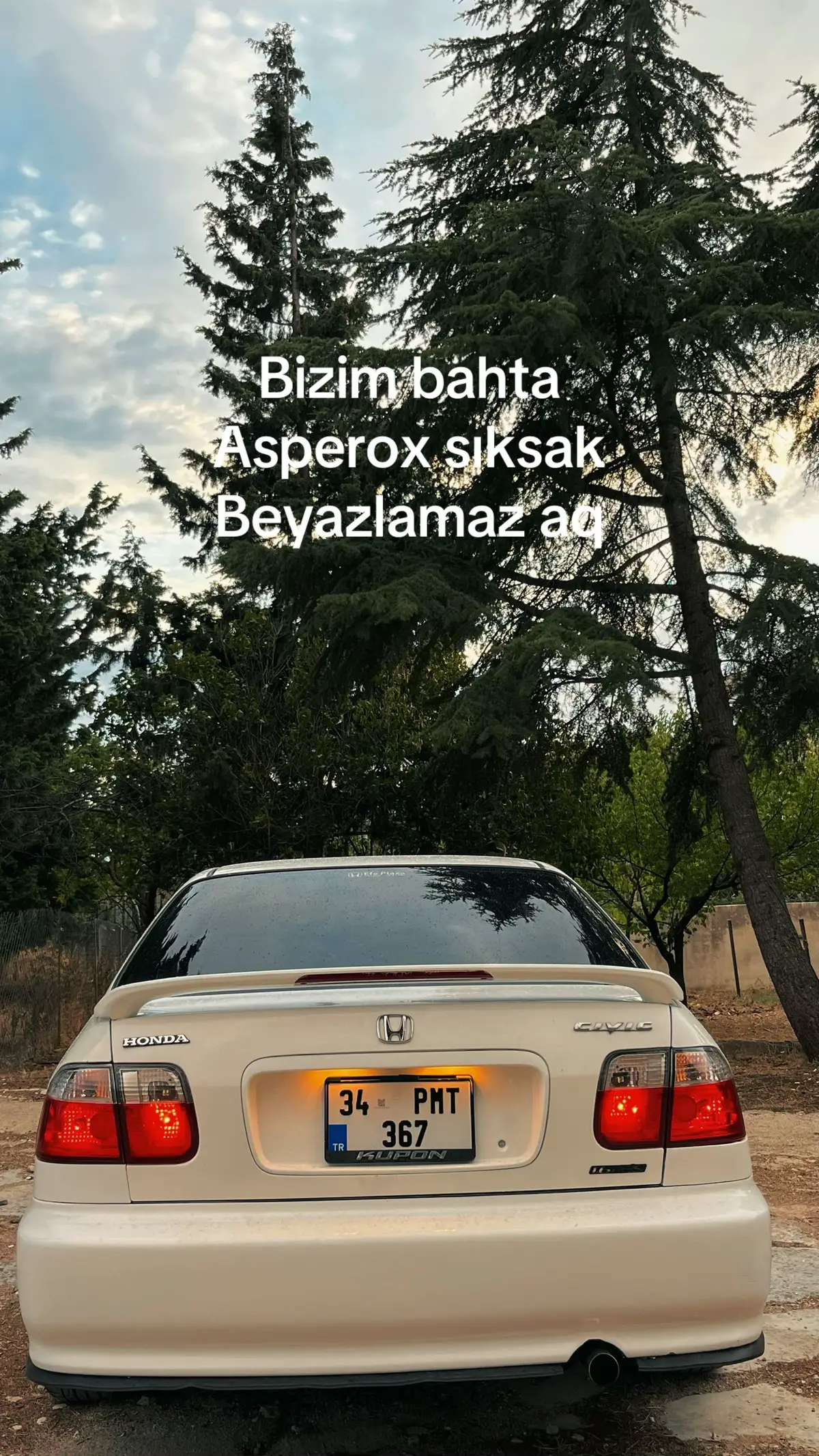 @erol.pmt367