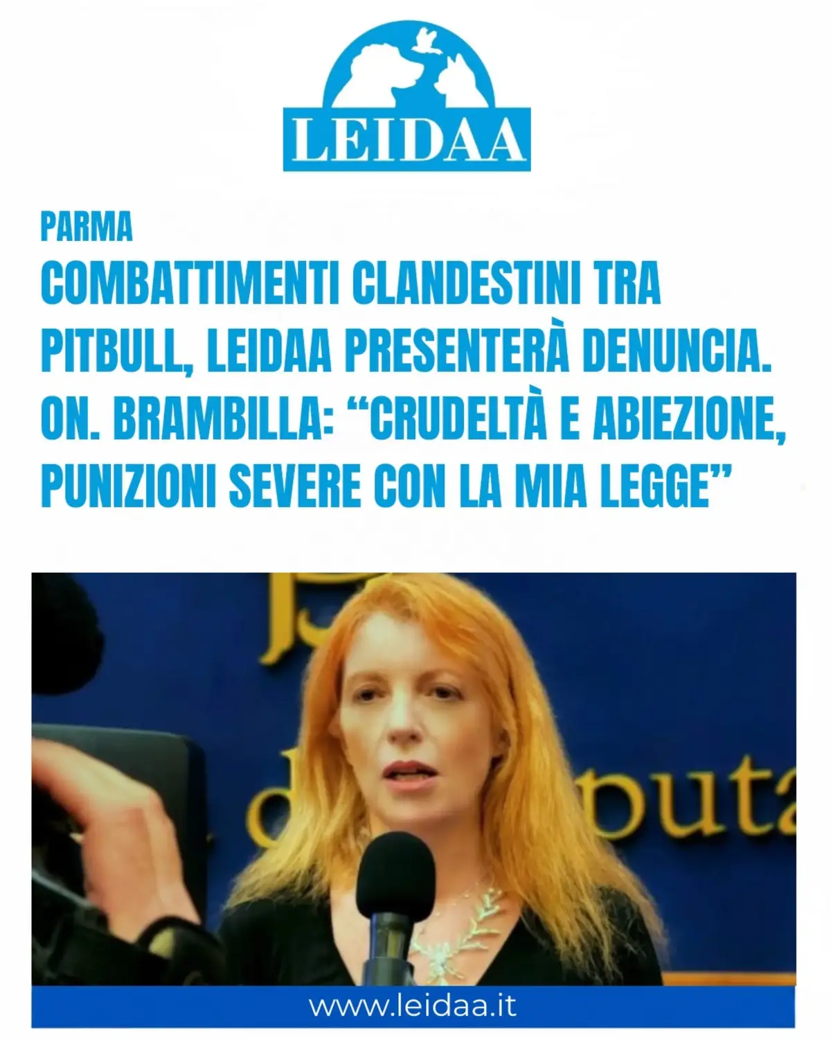@LEIDAA