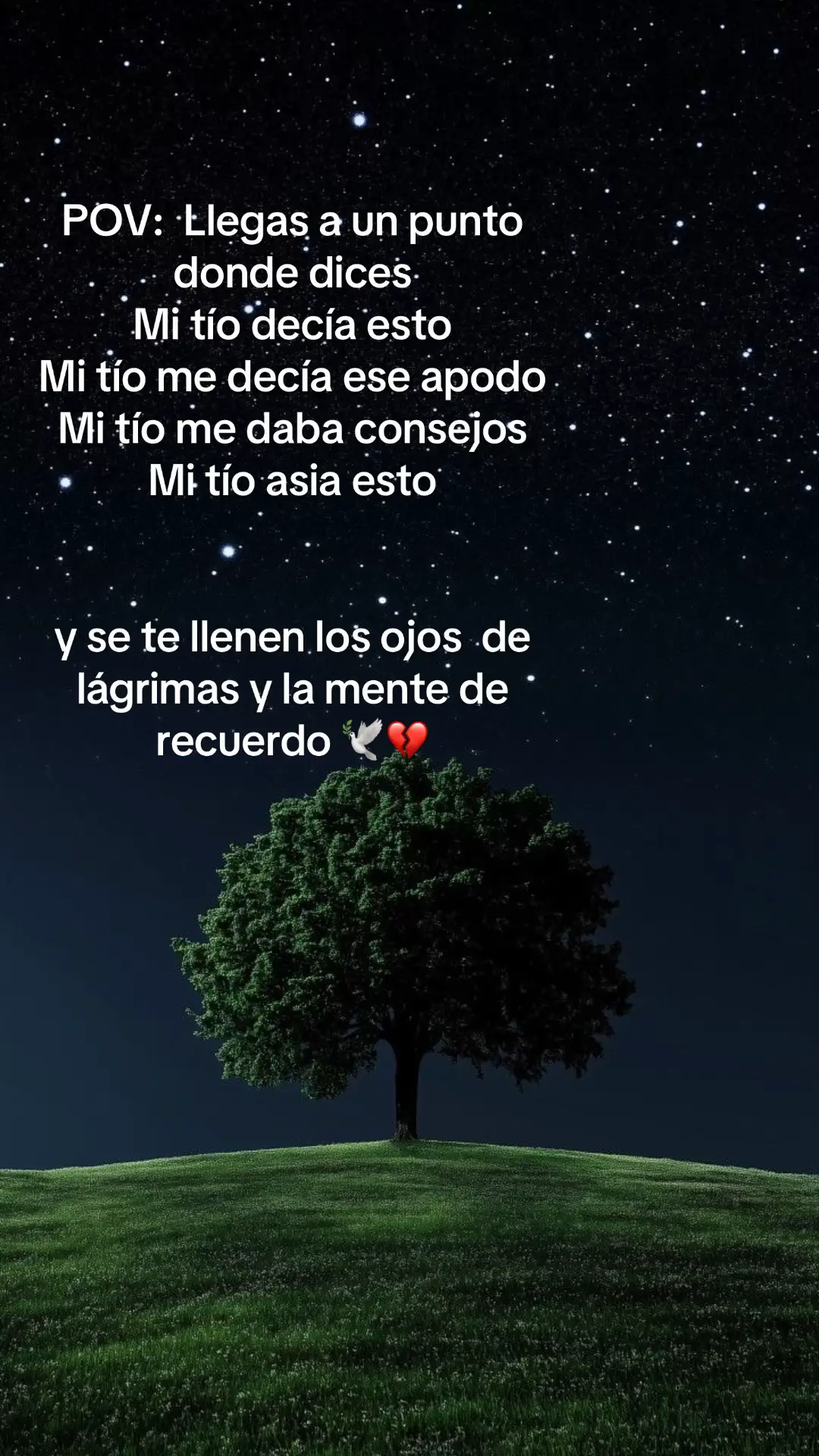 @Beatriz A .