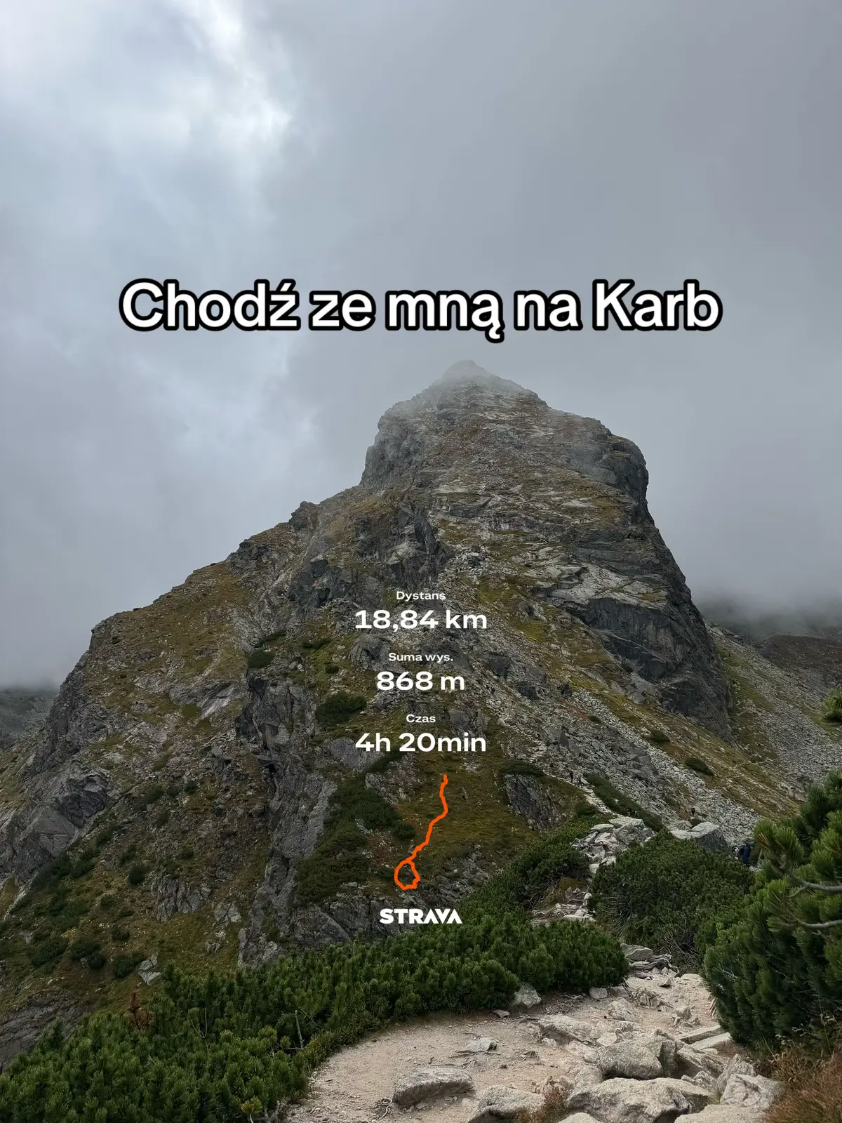 @Kiki🪷