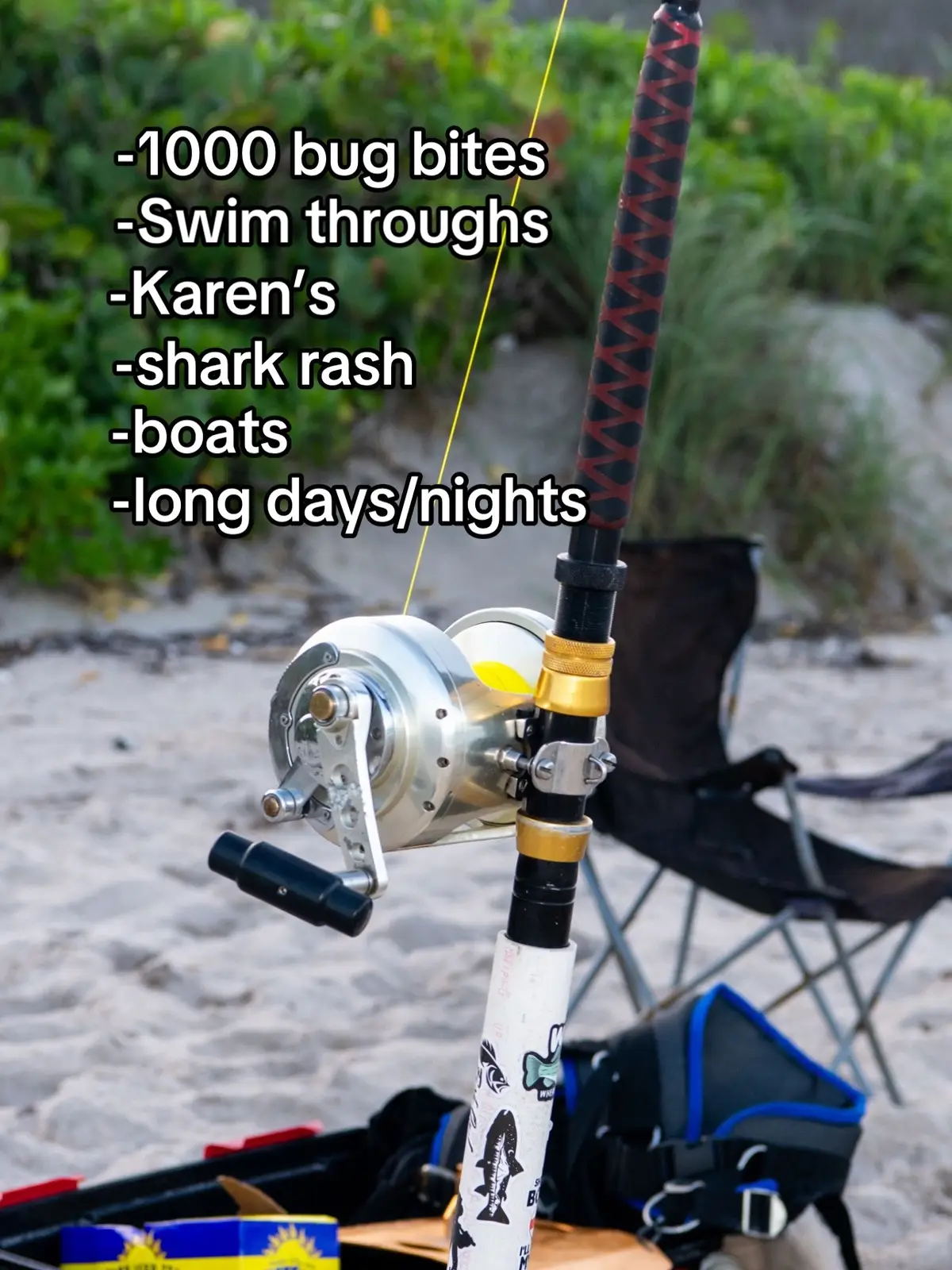 @772SHARKMAFIA
