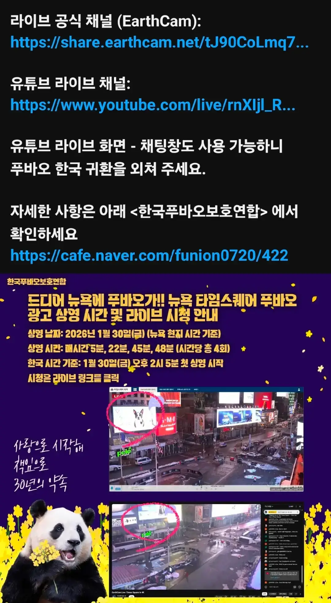 @반짝이는비니♡