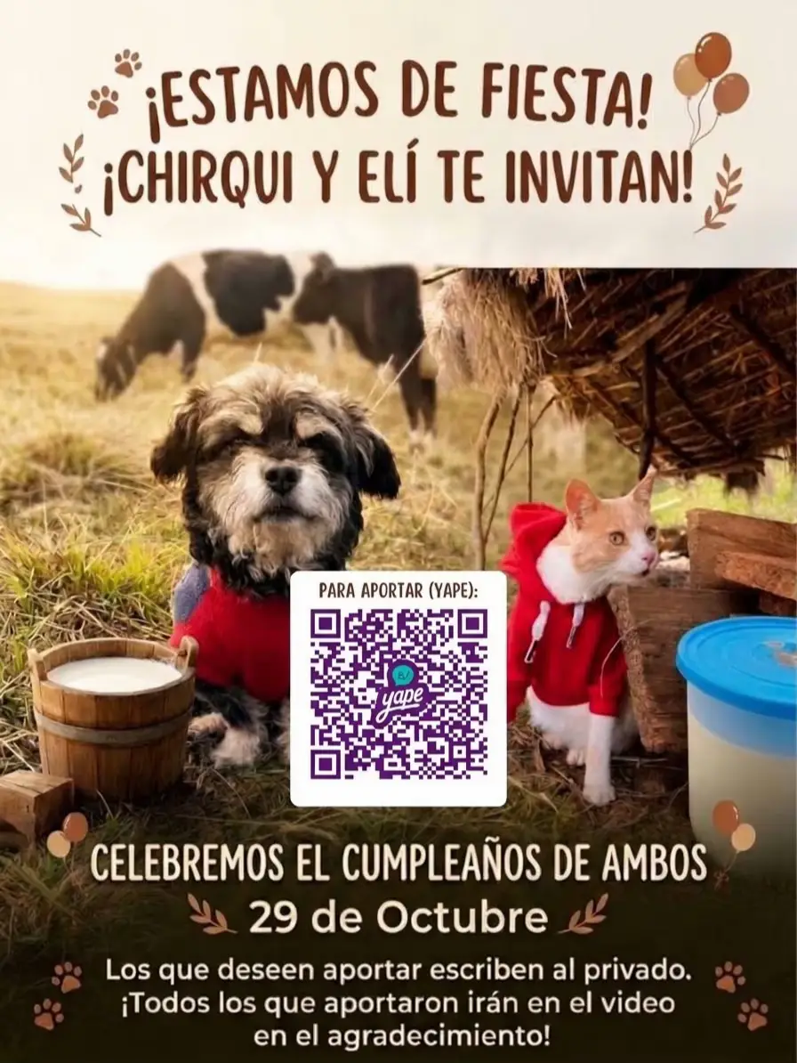 @🐈Rebeca y sus ocurrencias