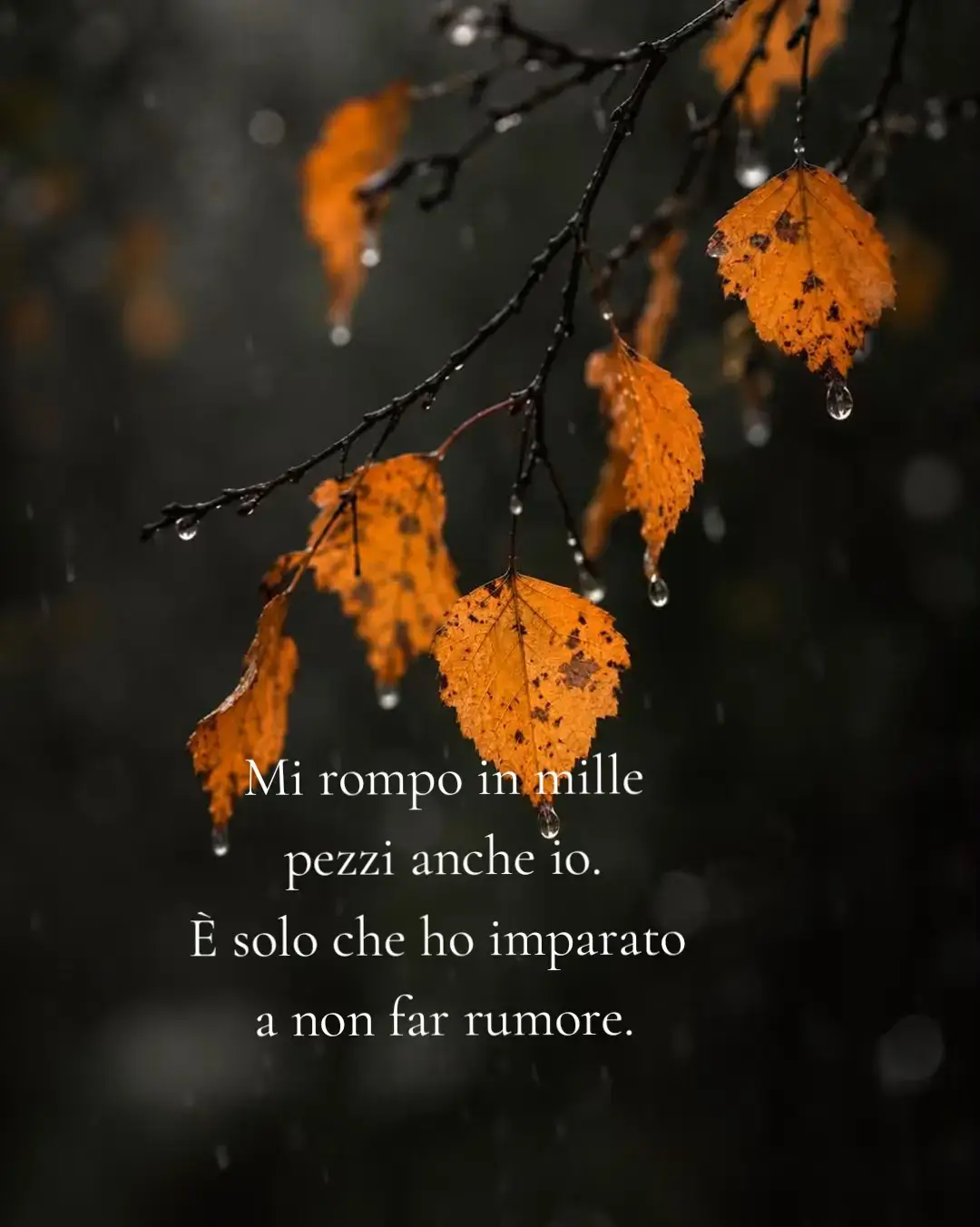 @Genny Amoruso
