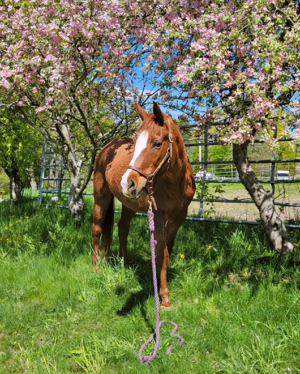 @Beth - Epona Media