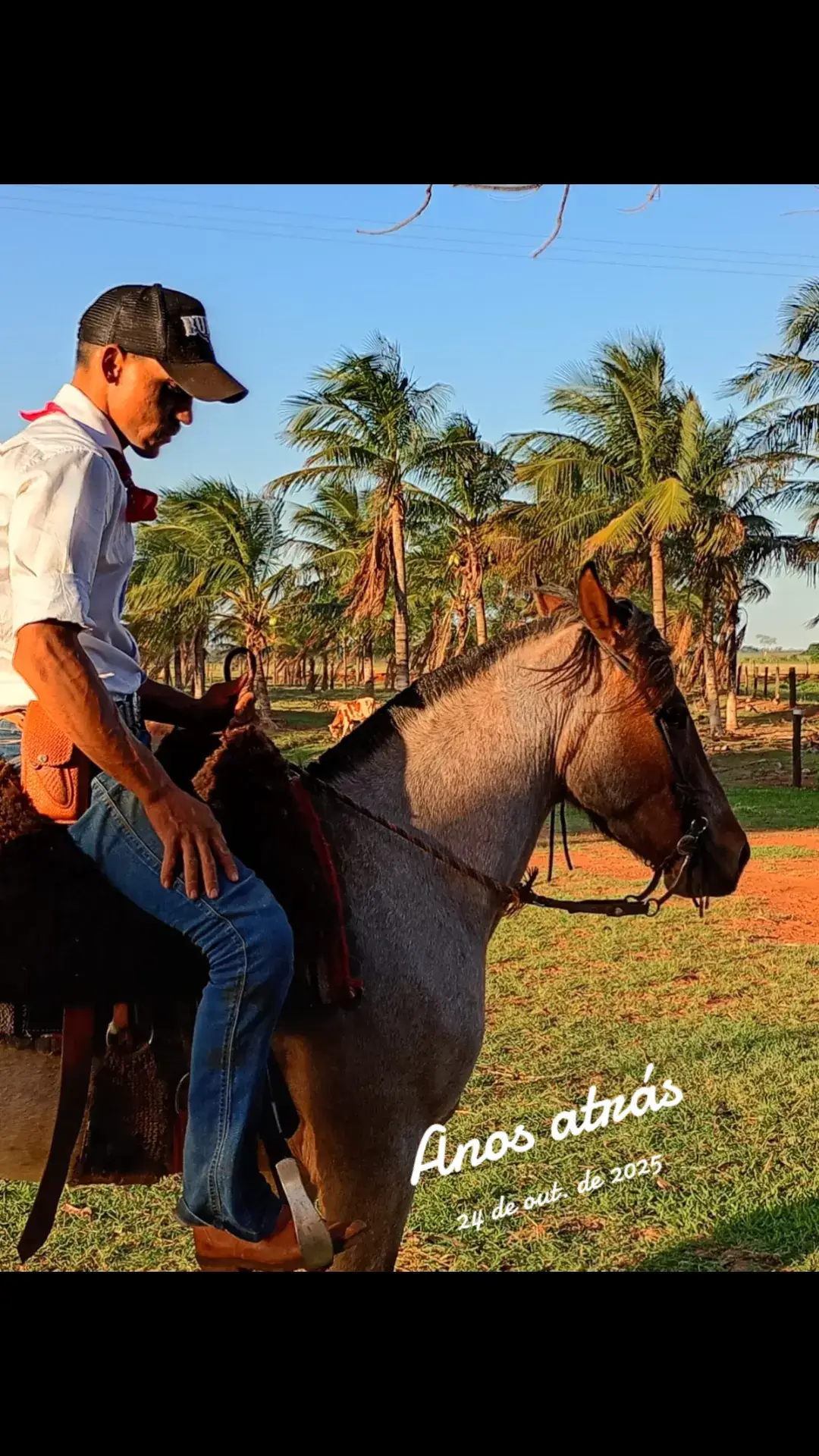 @BENEVIDES🤠🍃