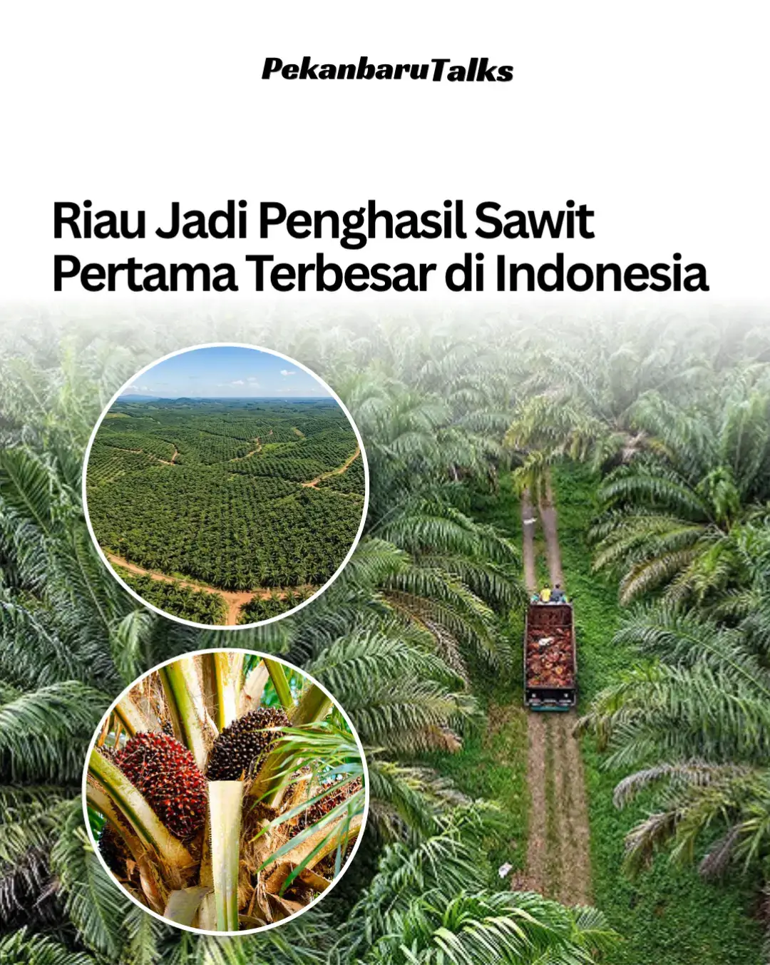 @PekanbaruTalks