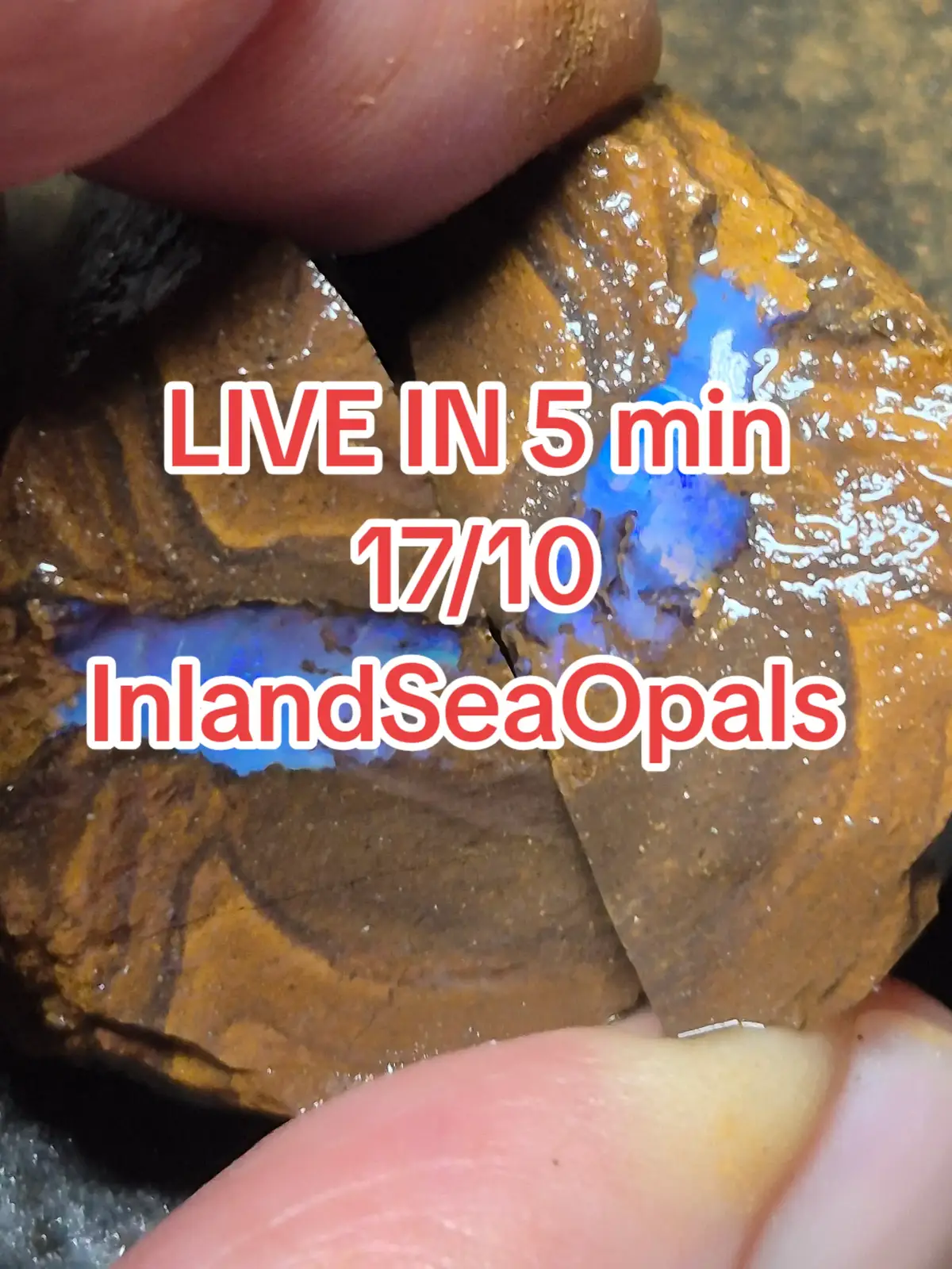 @InlandSeaOpals