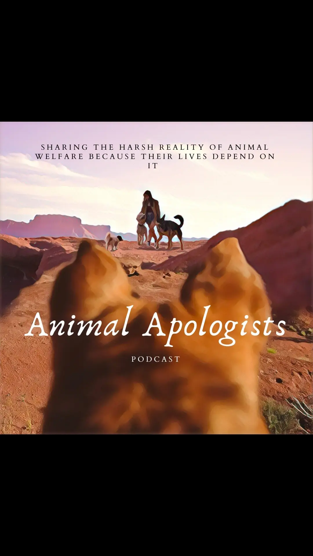 @Kayleigh | Animal Welfare
