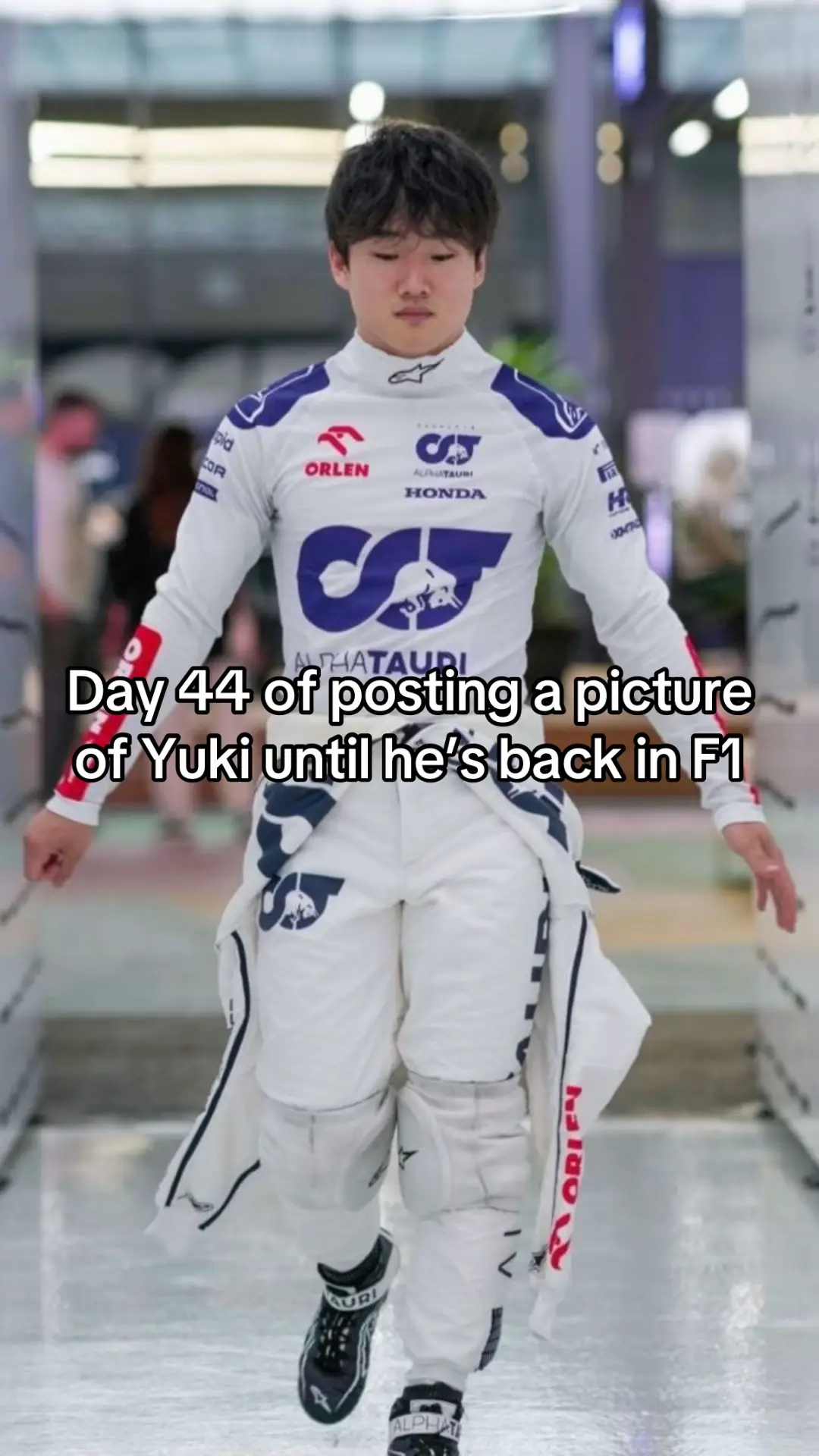 @F1 Bull Ology
