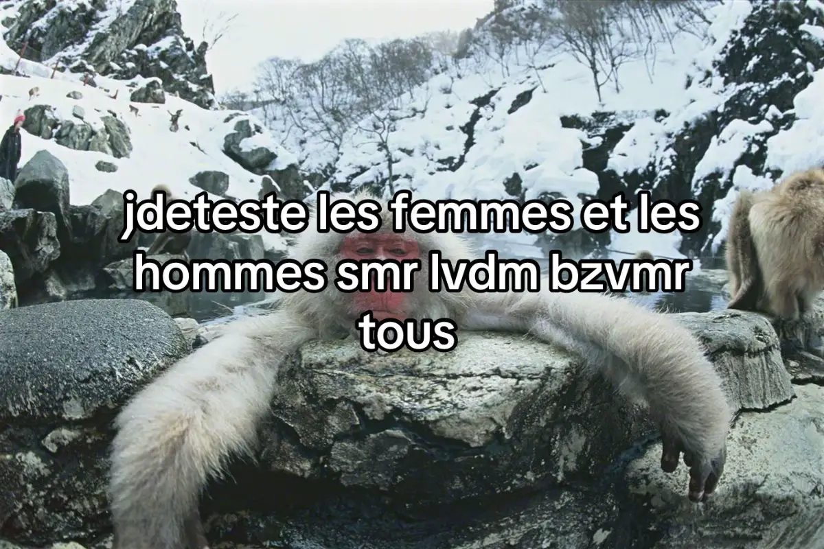 @Fakemitraillette2014