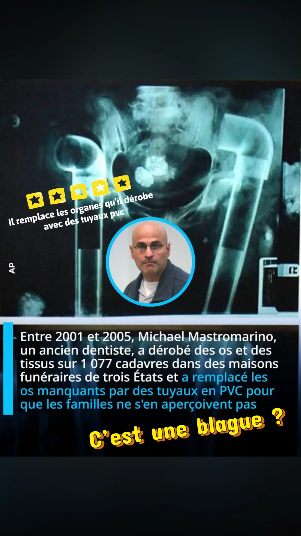 @stephanelevinternational