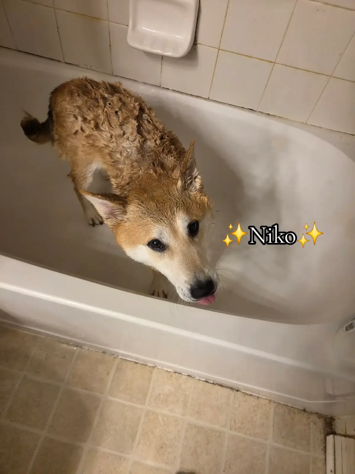 @✨️𝕲𝖗𝖎𝖒𝖒✨️