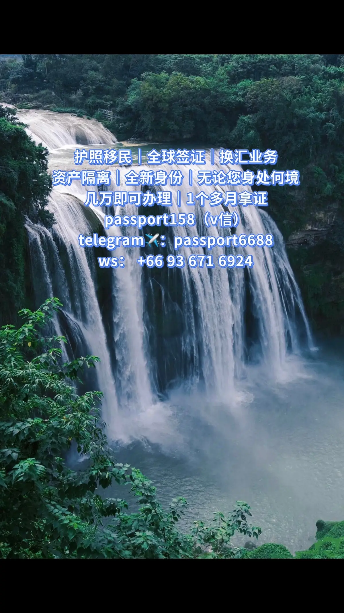 @护照身份办理-刘老师