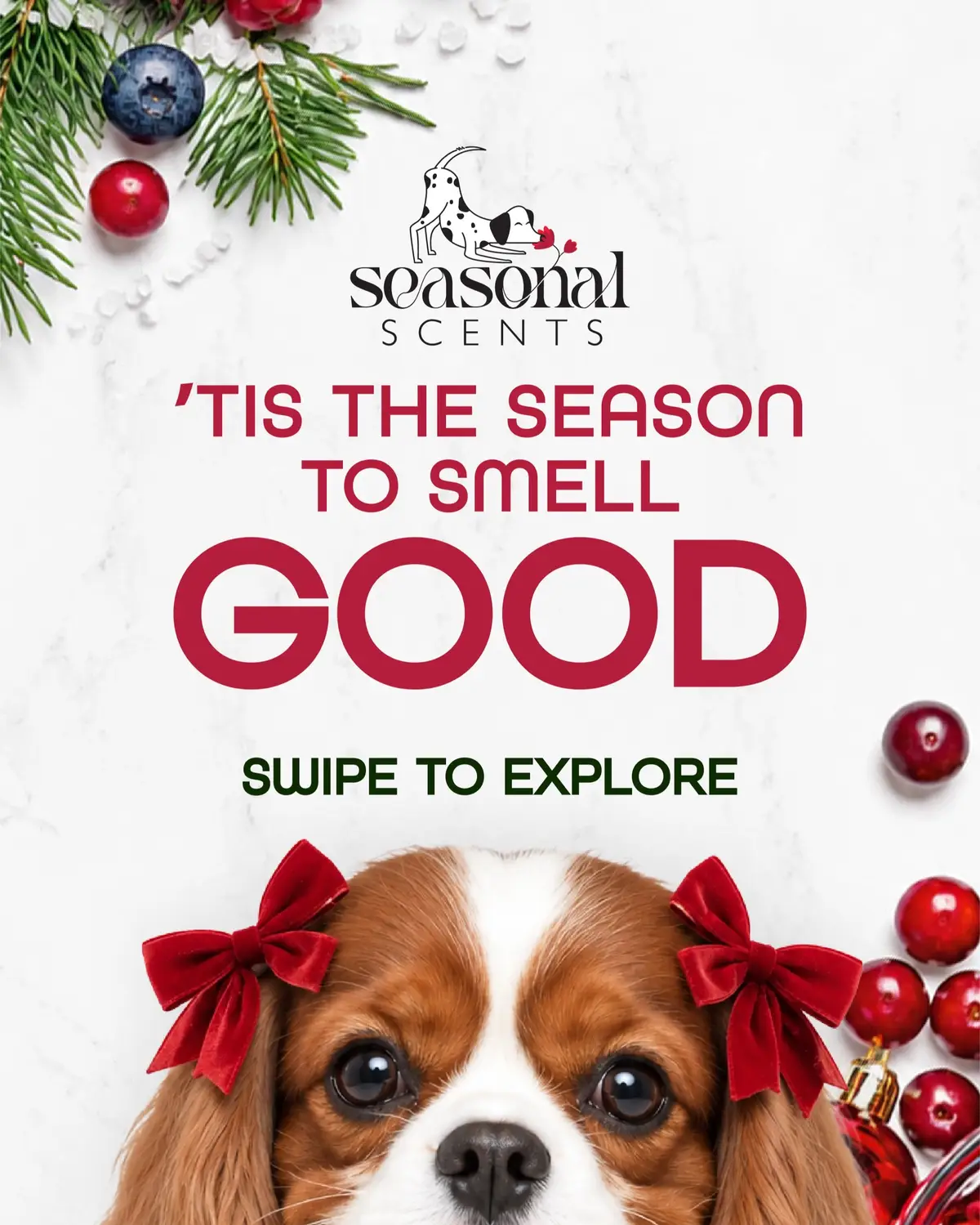 @Groomer’s Choice Pet Products