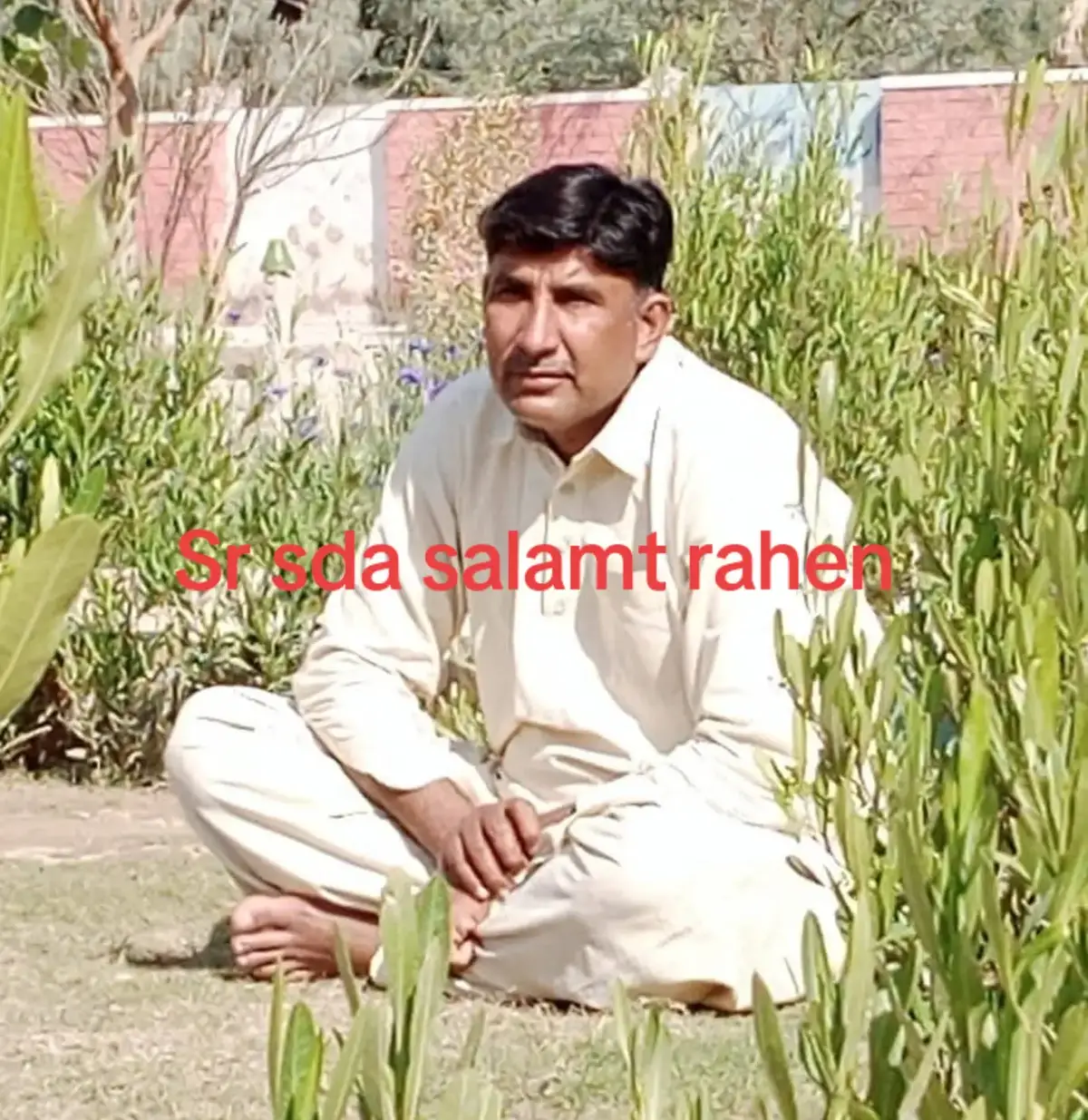 @Abiha imam