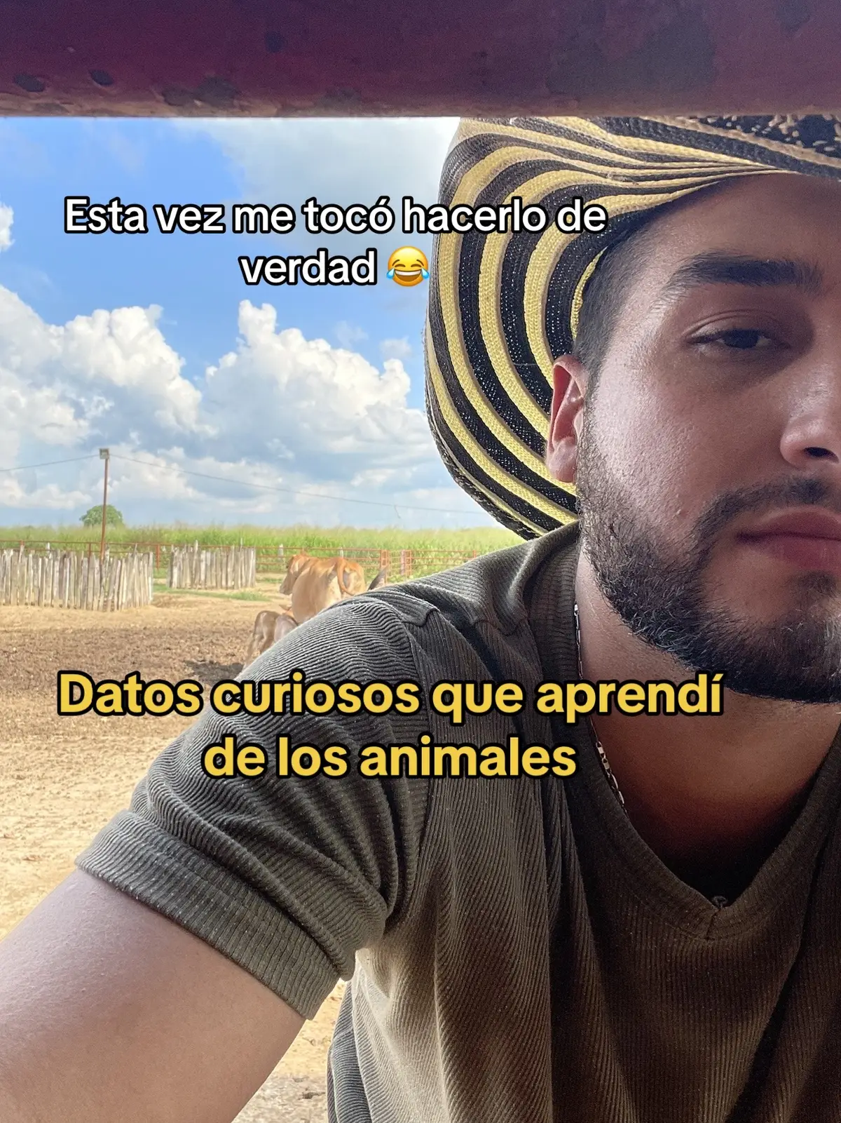 @Luis Fernando Silva 🐎🔥