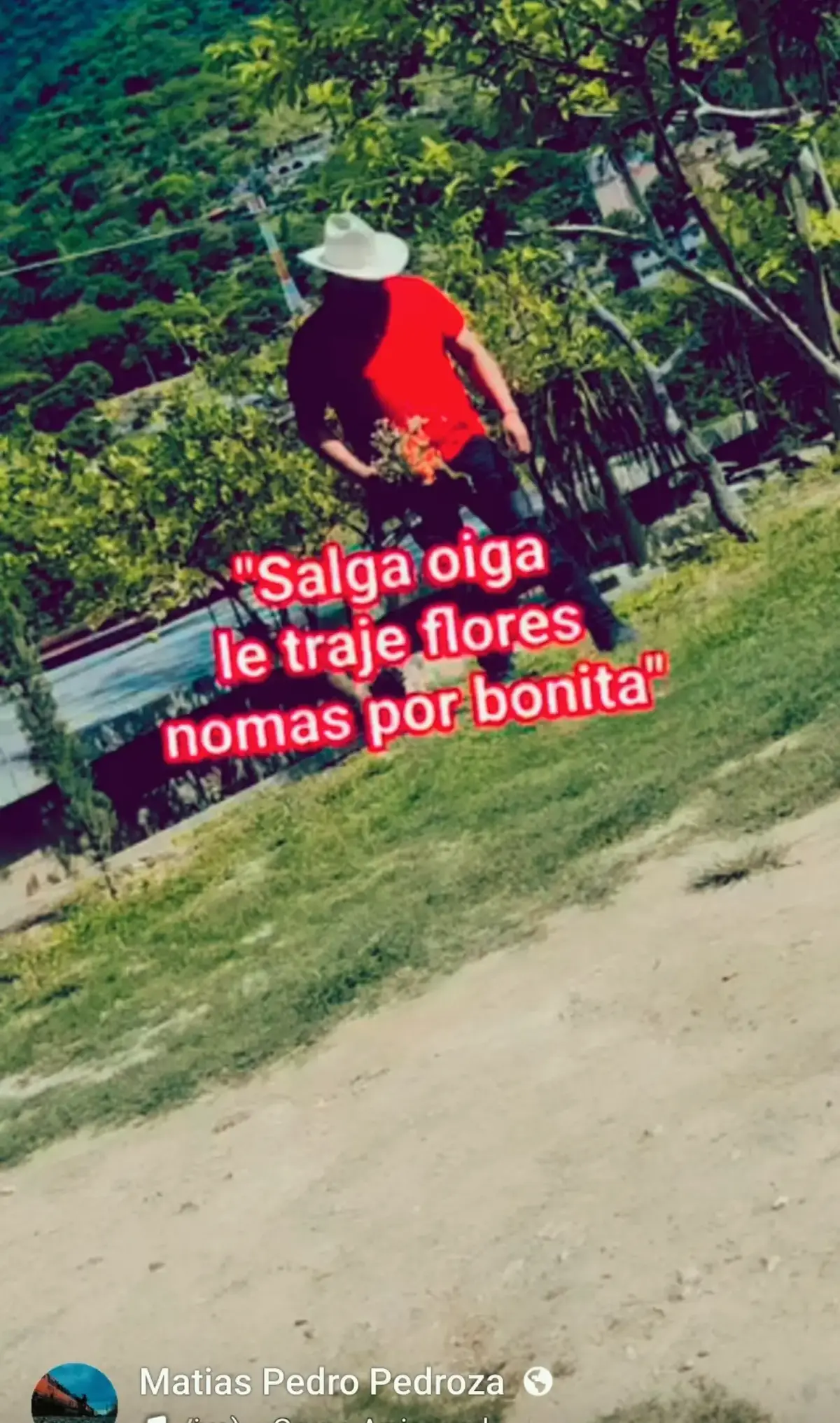 @Pedro salvador