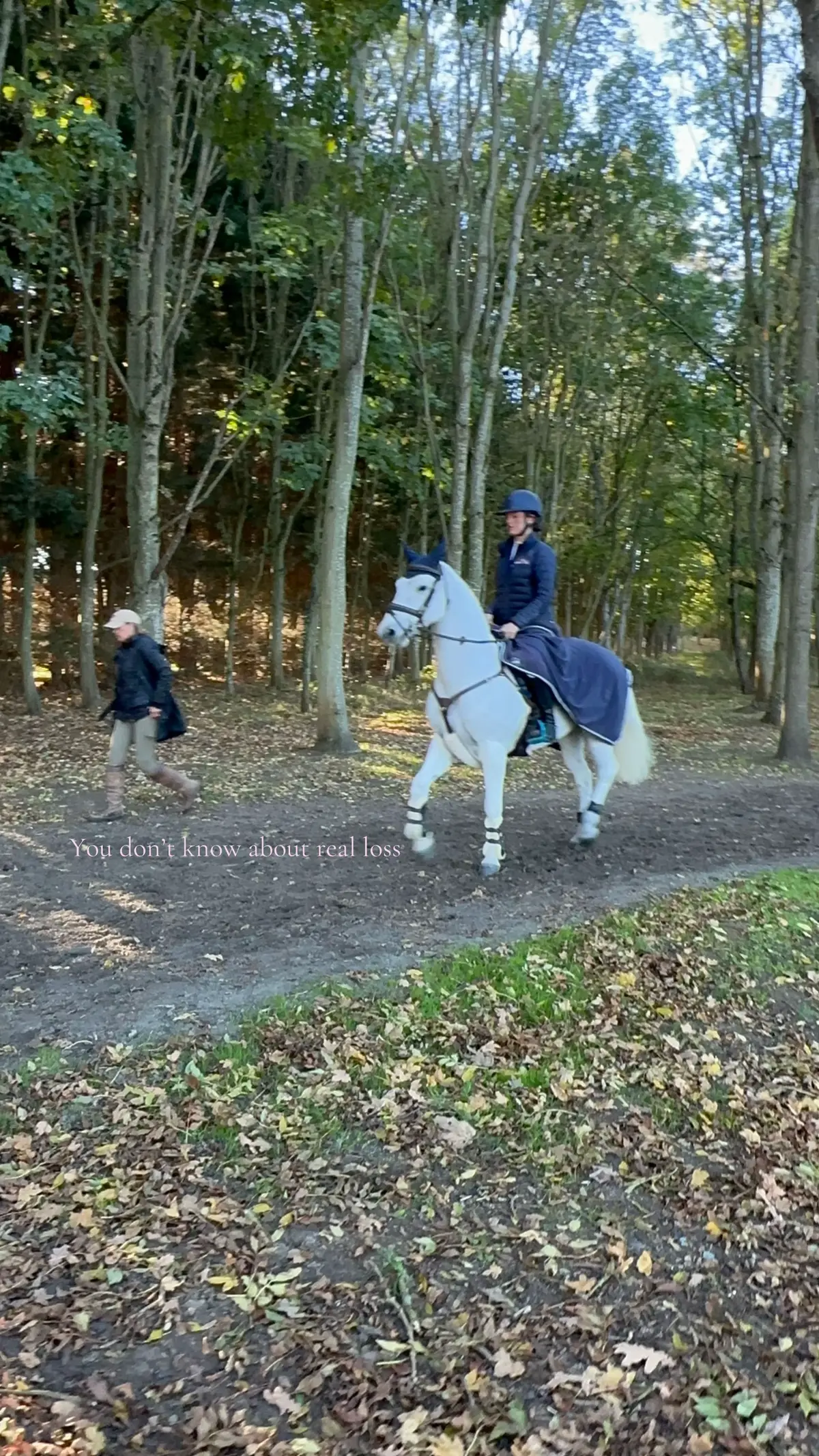 @amelia_showjumping2