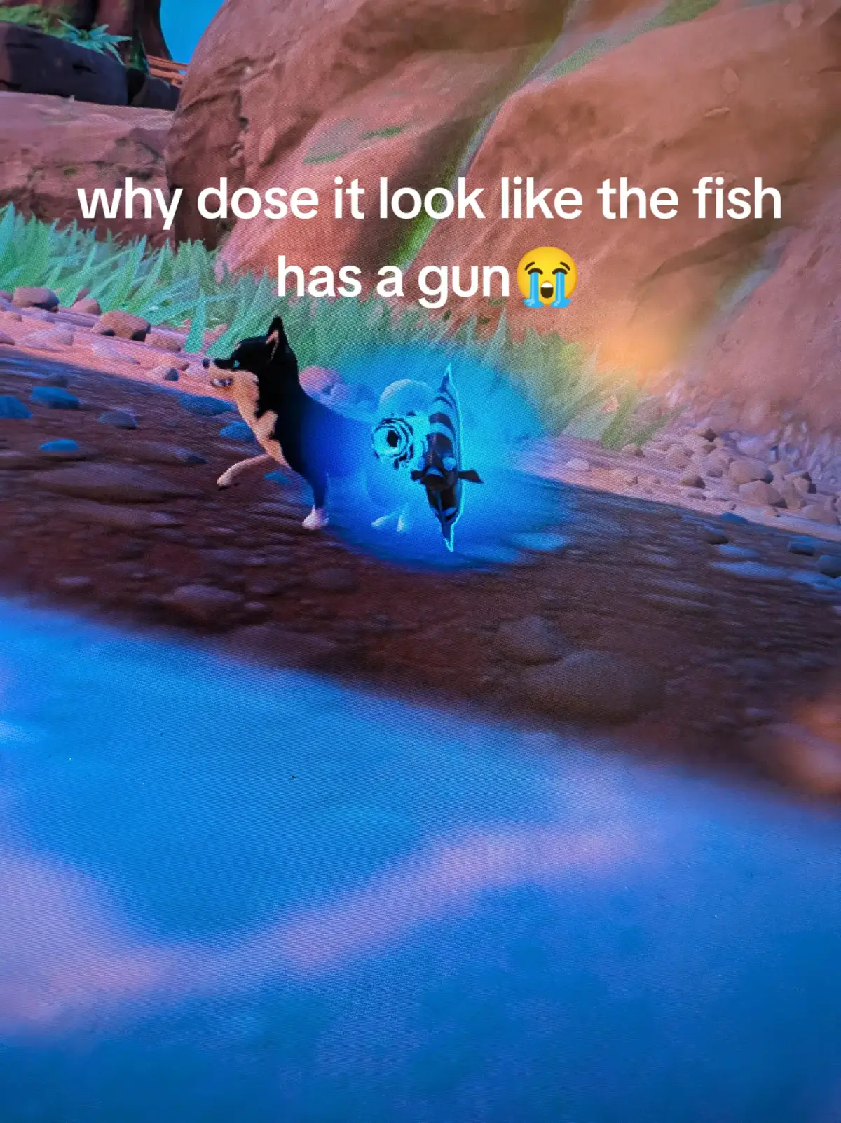 @bob