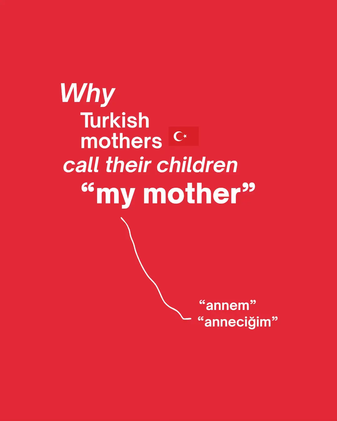 @Turkish On Board