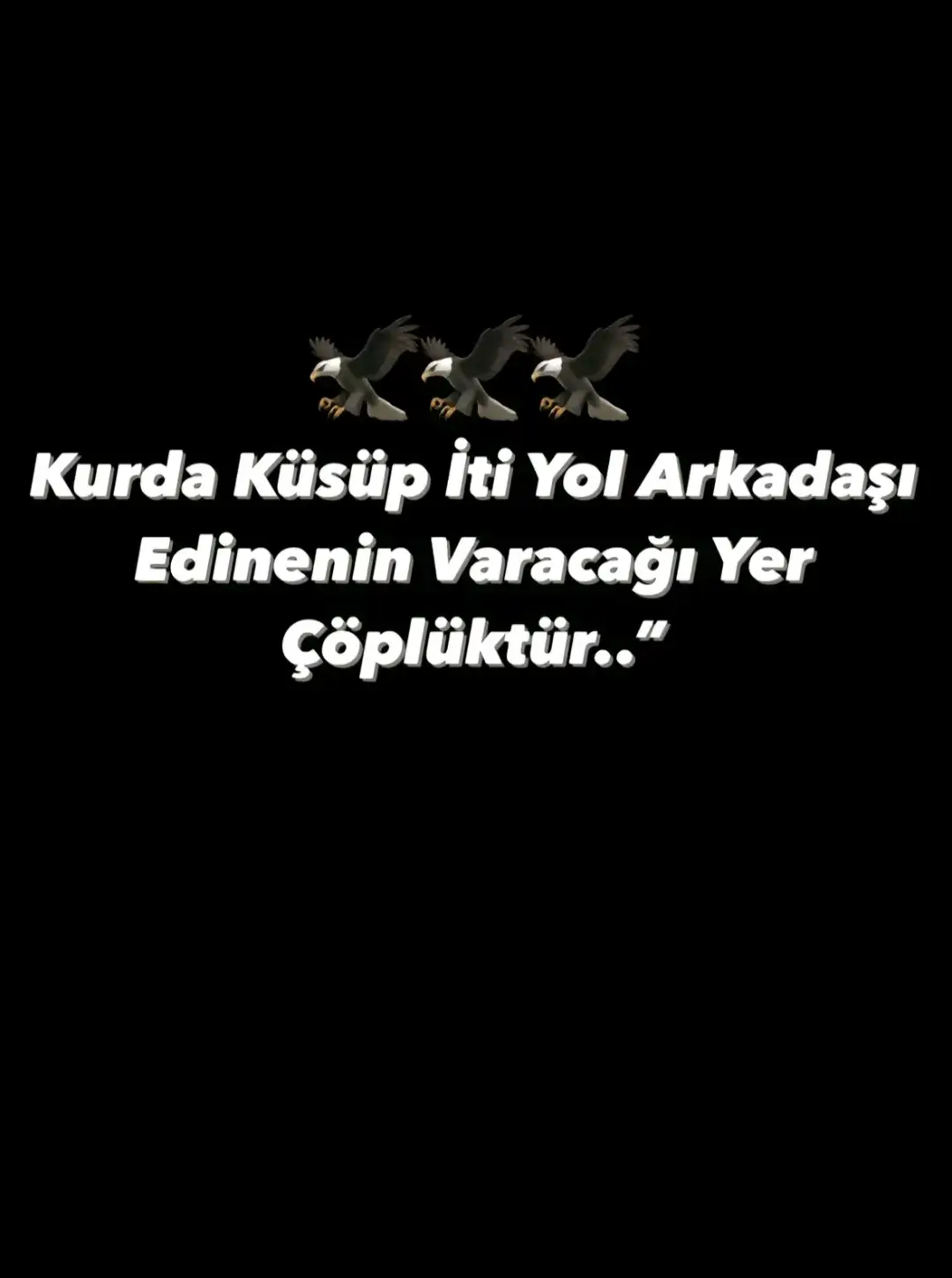 @Oğuzhan &Ccedil;elik