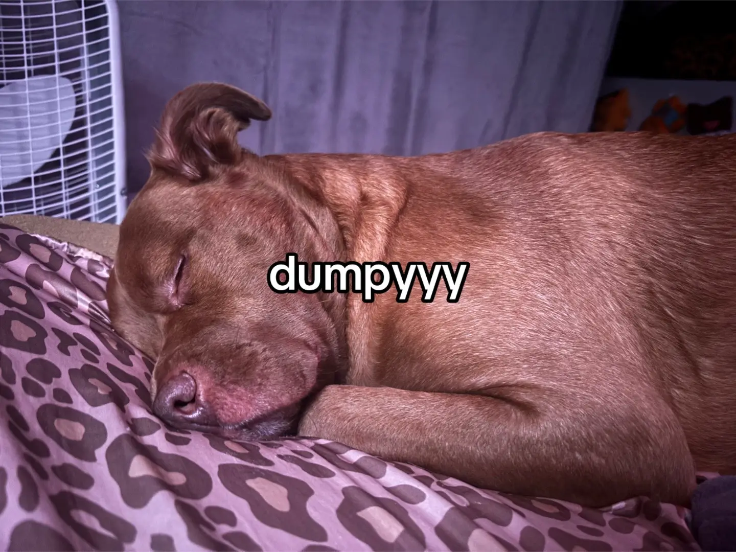 @hate will never win