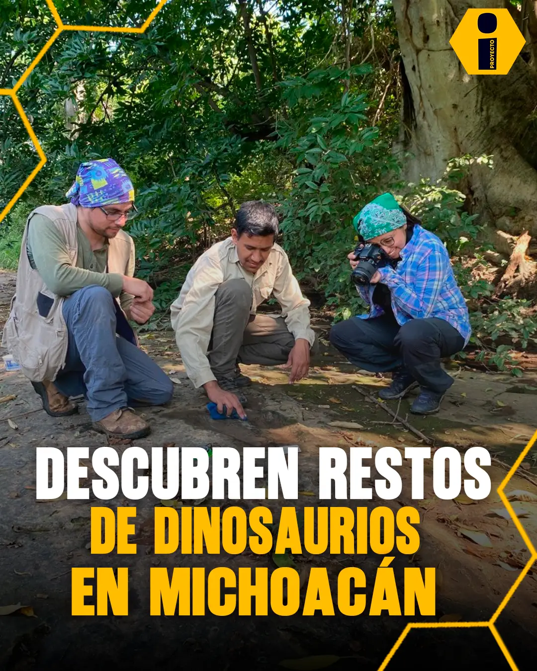 @Proyecto Info