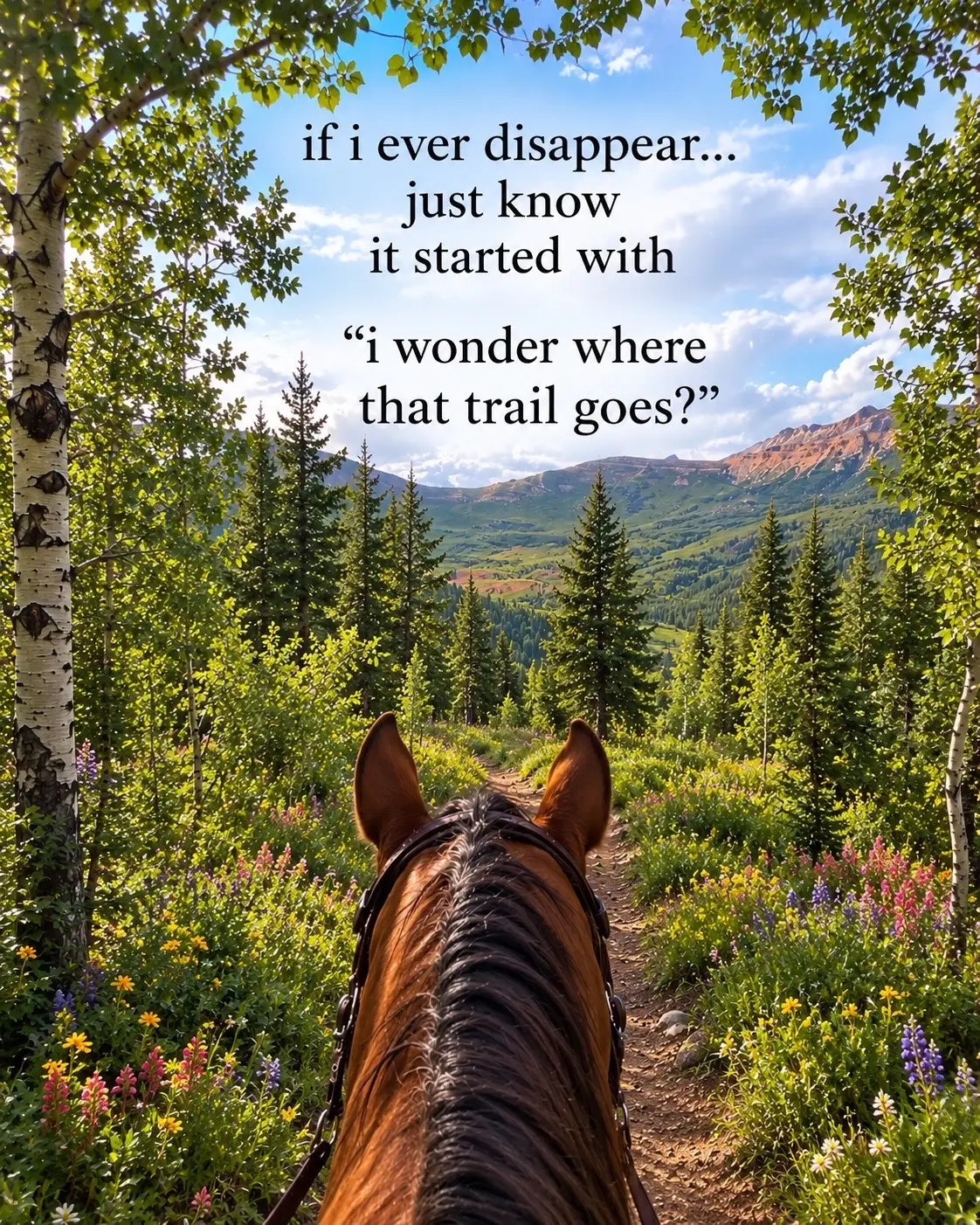 @Horselife