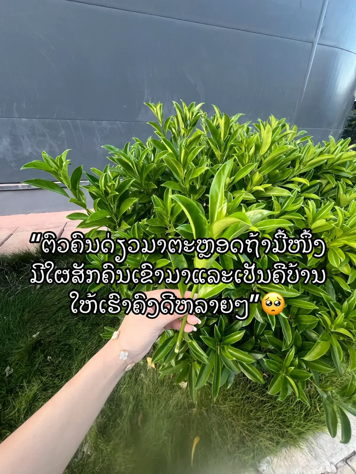 @ລານີນ້ອຍ.ມະຍຸມະຍະ