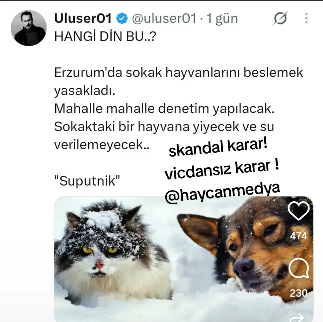 @HAYCAN MEDYA 🌐✔️