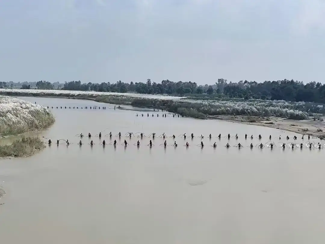 @Ham_Rana_Tharu