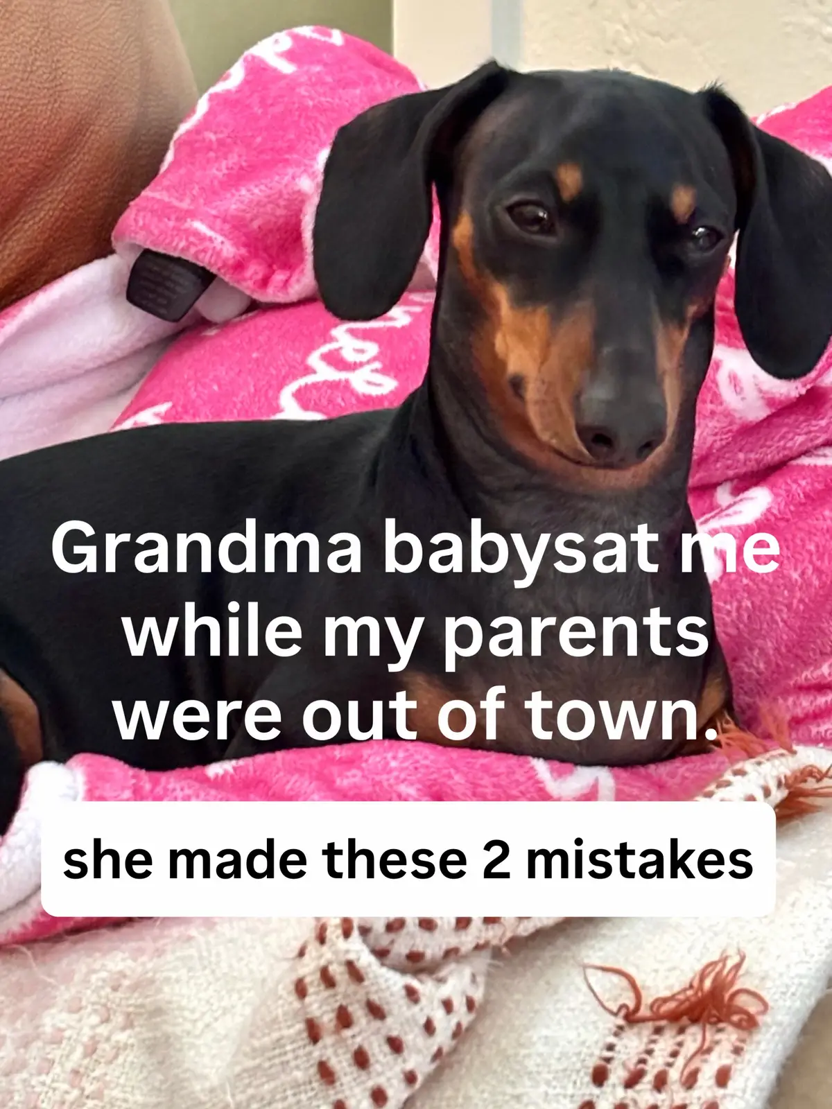 @Penny the Dachshund
