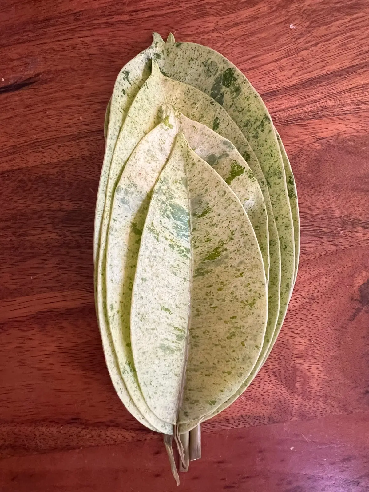 @The_Chlorophylliac