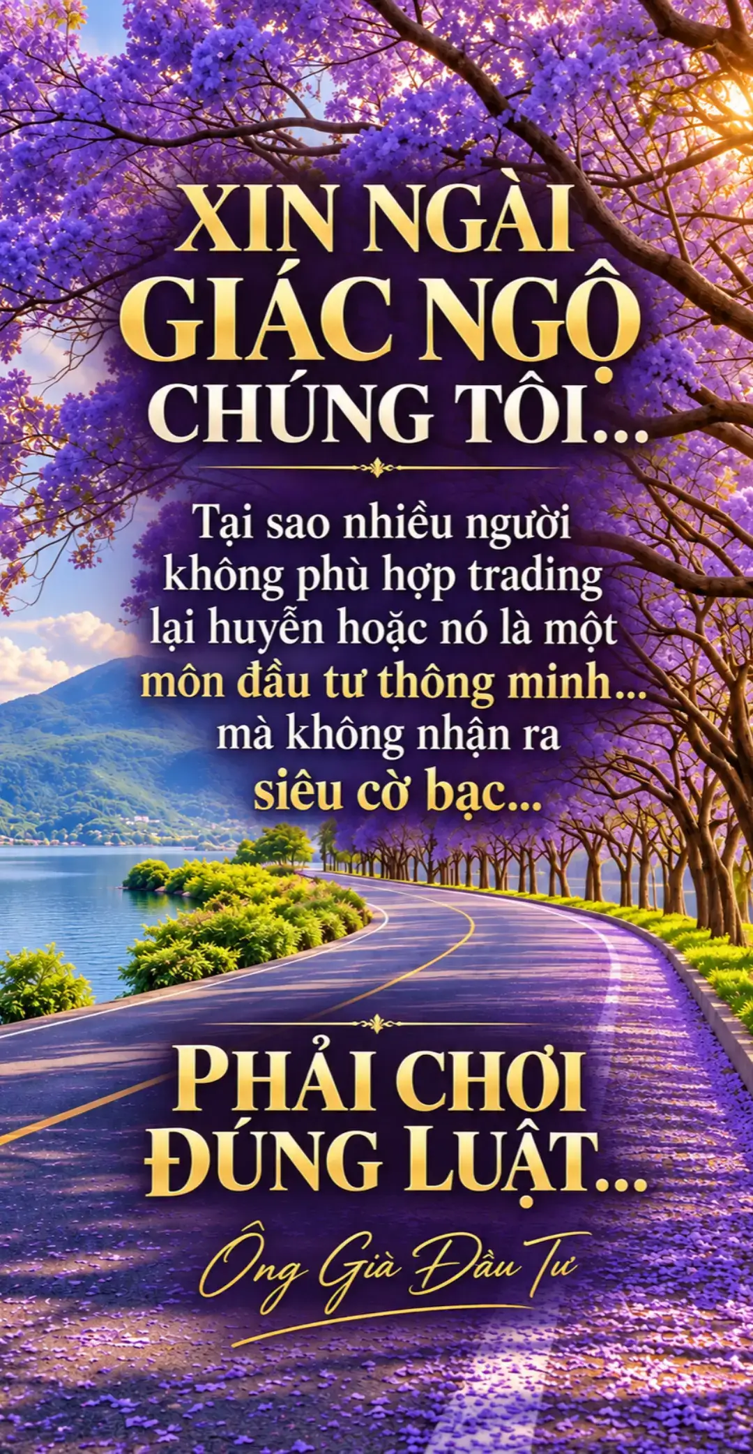 @&ocirc;ng gi&agrave; đầu tư 👴